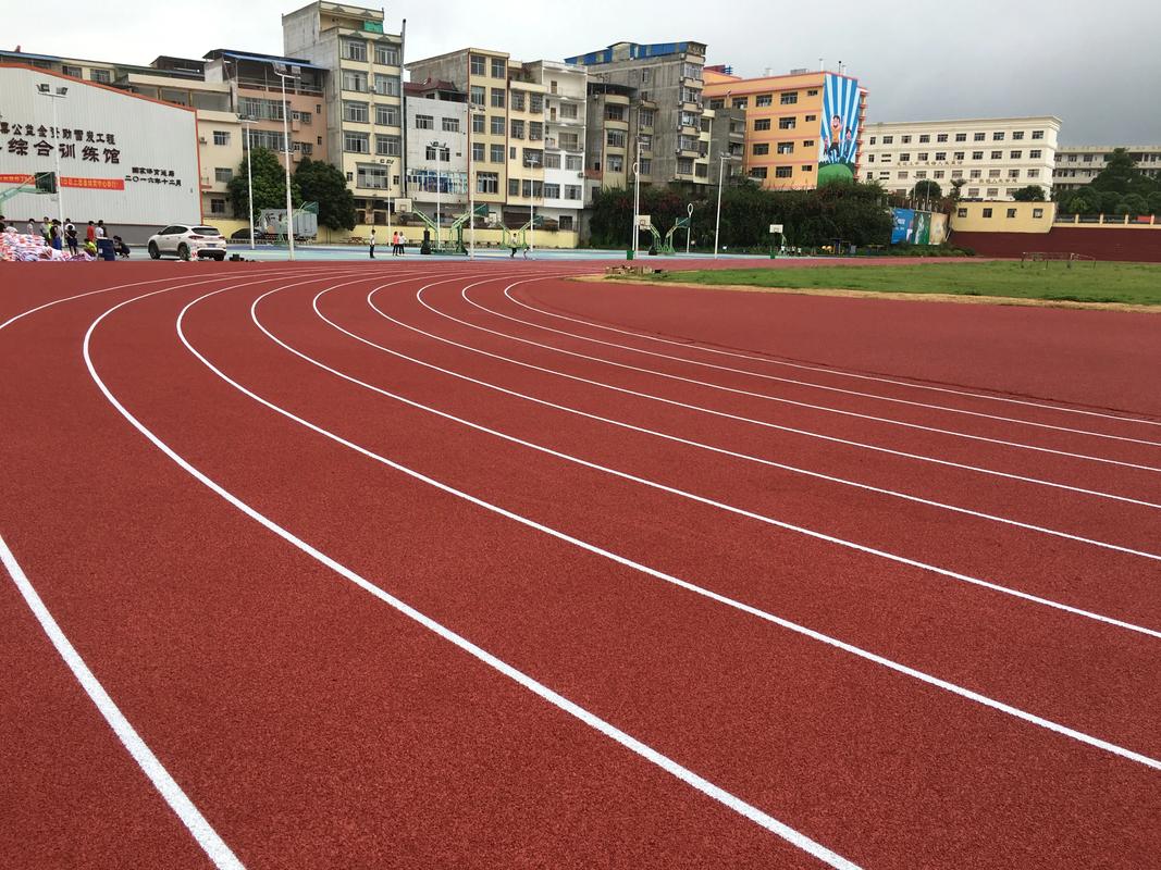 南阳市EPDM颗粒塑胶跑道材料 - 价格